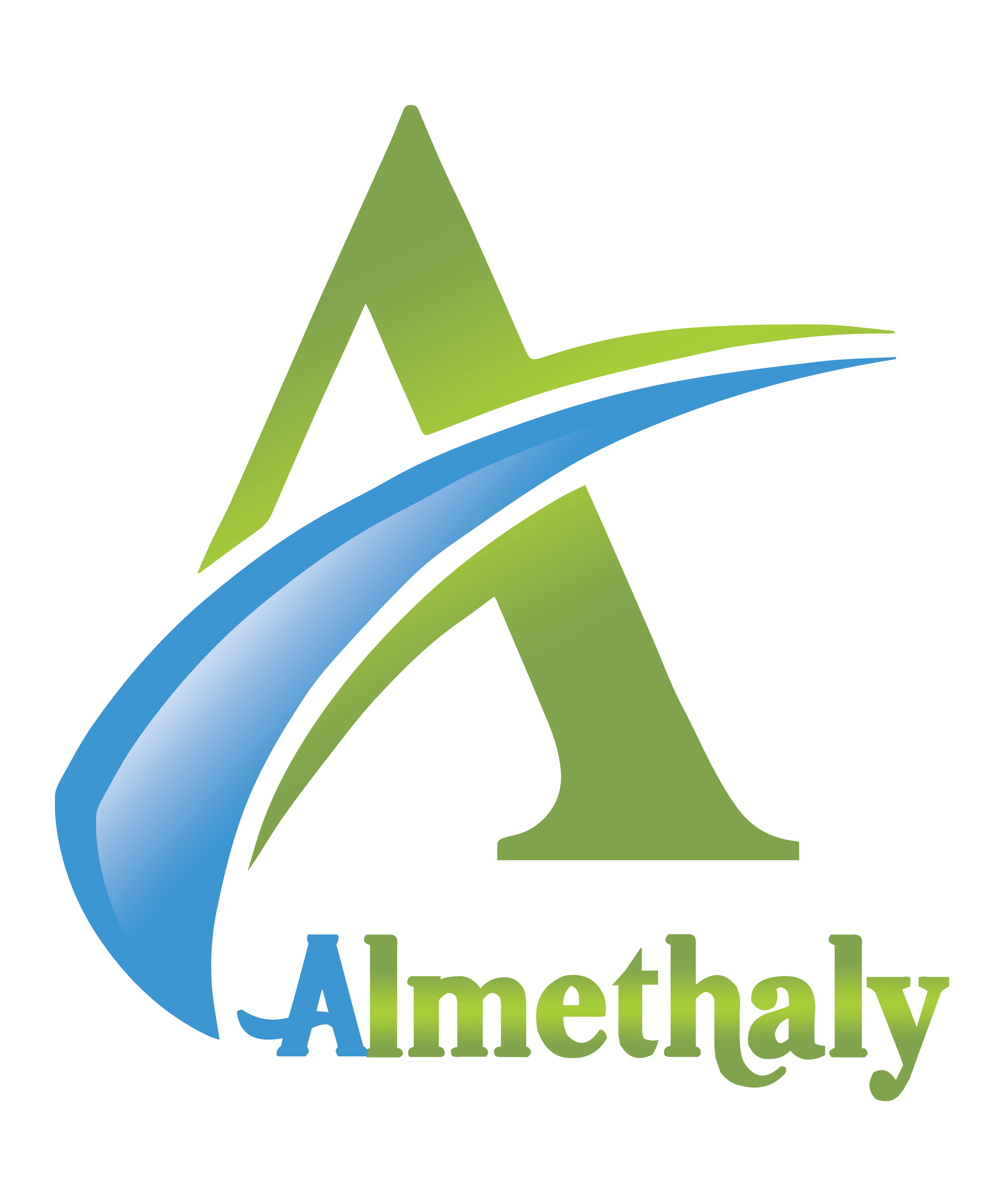 almesaly-accounting software